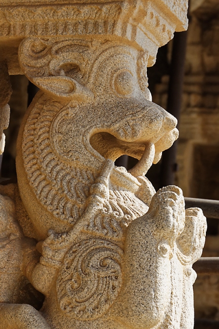 Hampi-Temple de Vitthala-090